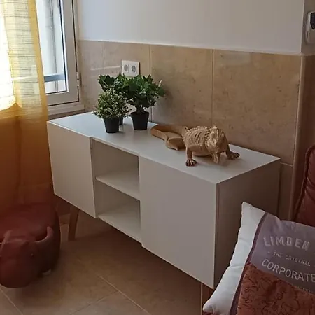 Mividacanaria Apartment